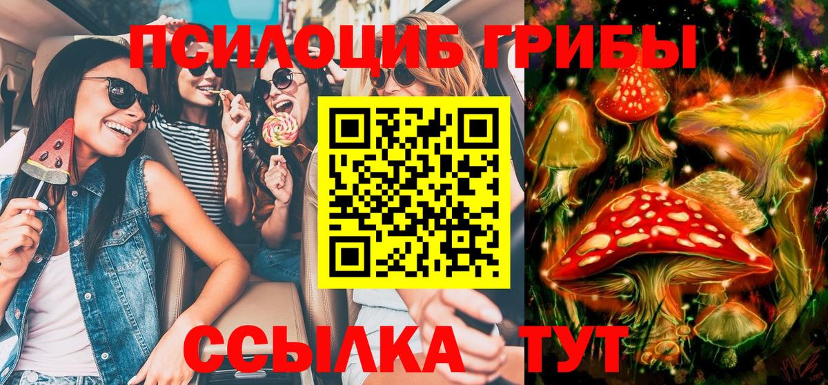 Псилоцибиновые грибы ЛСД  Вход с VPN  Буйнакск 